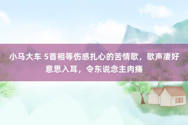 小马大车 5首相等伤感扎心的苦情歌，歌声凄好意思入耳，令东说念主肉痛