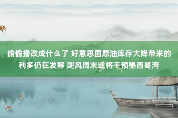 偷偷撸改成什么了 好意思国原油库存大降带来的利多仍在发酵 飓风周末或将干预墨西哥湾