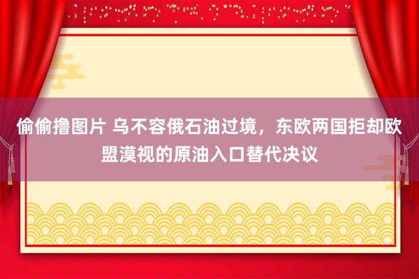 偷偷撸图片 乌不容俄石油过境，东欧两国拒却欧盟漠视的原油入口替代决议