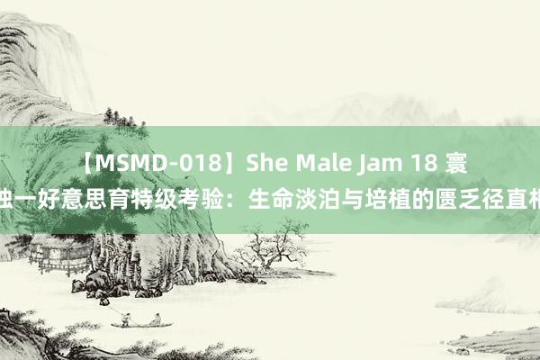 【MSMD-018】She Male Jam 18 寰球独一好意思育特级考验：生命淡泊与培植的匮乏径直相关