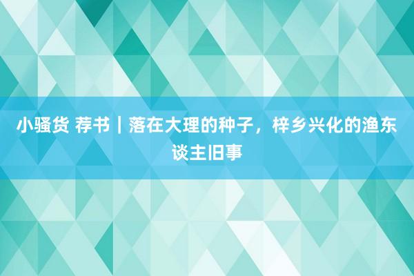 小骚货 荐书｜落在大理的种子，梓乡兴化的渔东谈主旧事