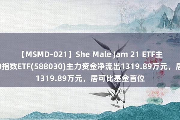 【MSMD-021】She Male Jam 21 ETF主力榜 | 科创100指数ETF(588030)主力资金净流出1319.89万元，居可比基金首位