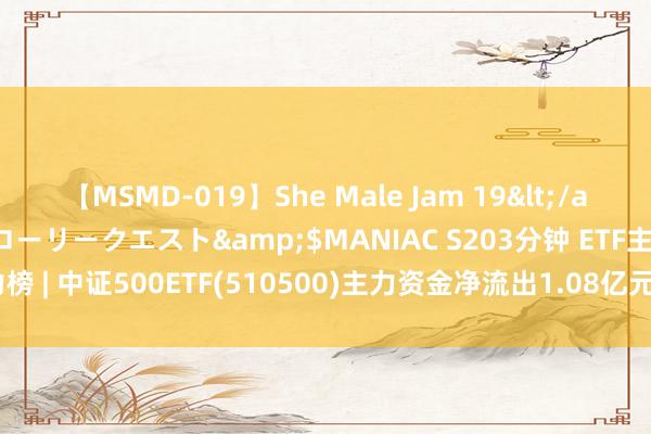 【MSMD-019】She Male Jam 19</a>2008-08-04グローリークエスト&$MANIAC S203分钟 ETF主力榜 | 中证500ETF(510500)主力资金净流出1.08亿元，居股票型ETF基金第一