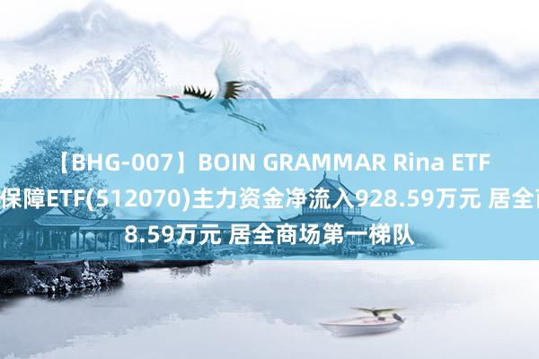 【BHG-007】BOIN GRAMMAR Rina ETF主力榜 | 证券保障ETF(512070)主力资金净流入928.59万元 居全商场第一梯队