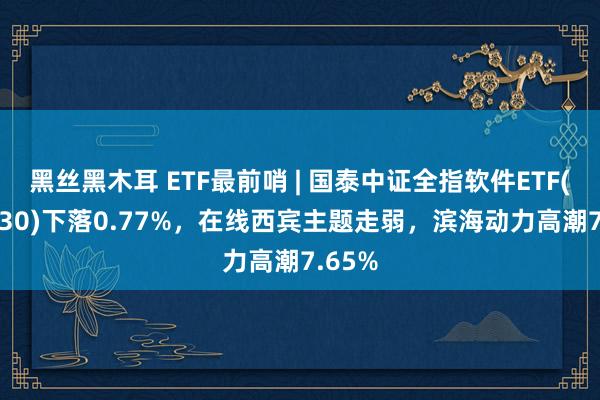 黑丝黑木耳 ETF最前哨 | 国泰中证全指软件ETF(515230)下落0.77%，在线西宾主题走弱，滨海动力高潮7.65%