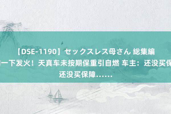 【DSE-1190】セックスレス母さん 総集編 “噌”的一下发火！天真车未按期保重引自燃 车主：还没买保障……