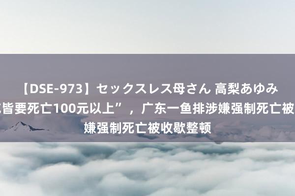 【DSE-973】セックスレス母さん 高梨あゆみ “吃不吃皆要死亡100元以上” ，广东一鱼排涉嫌强制死亡被收歇整顿