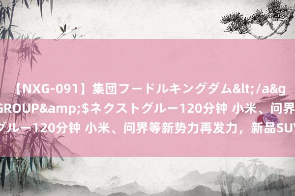 【NXG-091】集団フードルキングダム</a>2010-04-20NEXT GROUP&$ネクストグルー120分钟 小米、问界等新势力再发力，新品SUV轮着上新