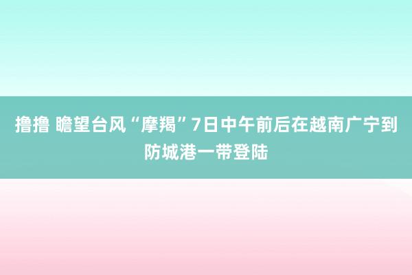 撸撸 瞻望台风“摩羯”7日中午前后在越南广宁到防城港一带登陆