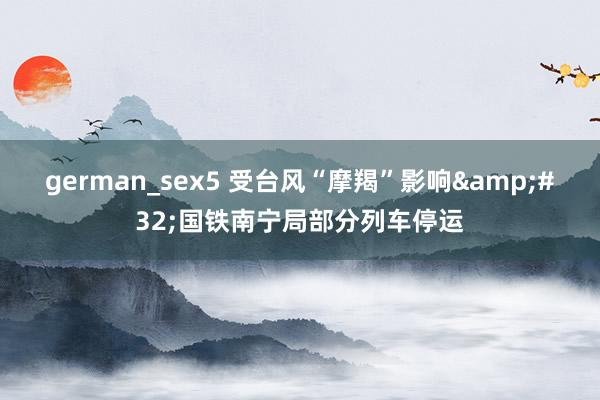 german_sex5 受台风“摩羯”影响&#32;国铁南宁局部分列车停运