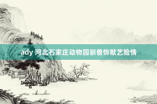 ady 河北石家庄动物园驯兽饰献艺险情