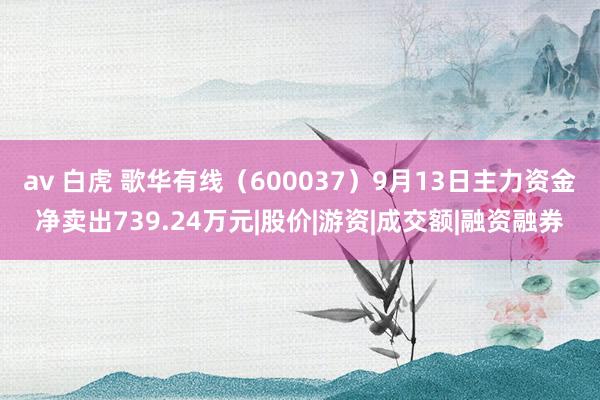 av 白虎 歌华有线（600037）9月13日主力资金净卖出739.24万元|股价|游资|成交额|融资融券