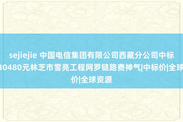 sejiejie 中国电信集团有限公司西藏分公司中标21930480元林芝市雪亮工程网罗链路费神气|中标价|全球资源