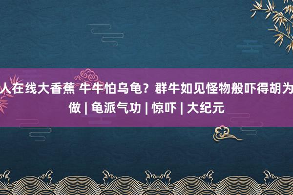 伊人在线大香蕉 牛牛怕乌龟？群牛如见怪物般吓得胡为乱做 | 龟派气功 | 惊吓 | 大纪元