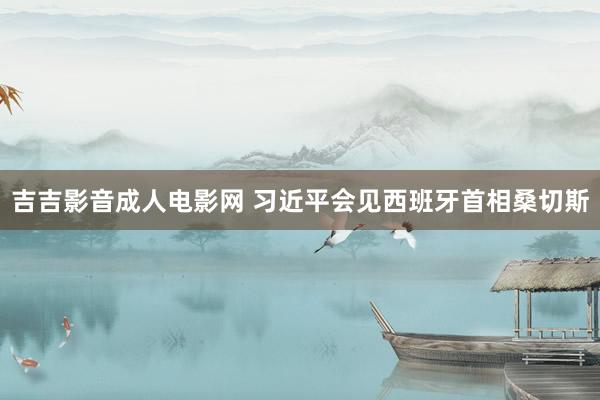 吉吉影音成人电影网 习近平会见西班牙首相桑切斯